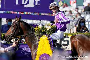 Longshot Order of Australia, 73-1, Win Breeders' Cup Mile