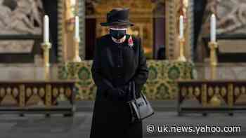 Queen seen in face mask for first time - a look at other royal mask wearers