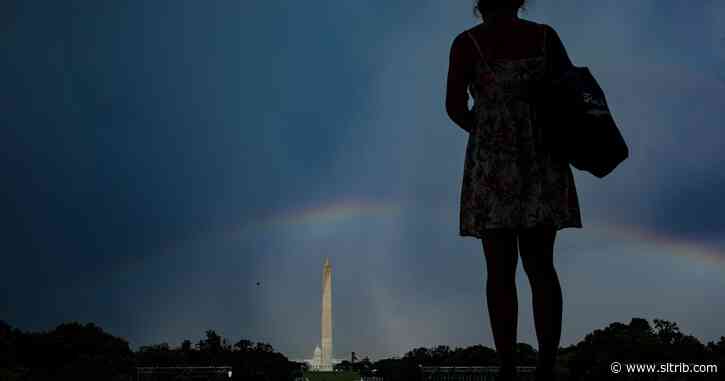 David Brooks: What the voters are trying to tell us