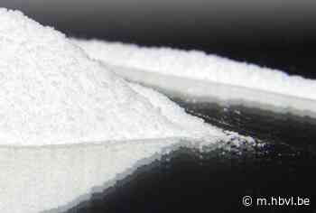 Aanhouding na vondst van cocaïne en wiet op plantage in Hoepertingen - Het Belang van Limburg