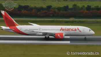 Avianca Suma Vuelos Diarios Entre Bogotá y Buenos Aires - torreeldorado.co