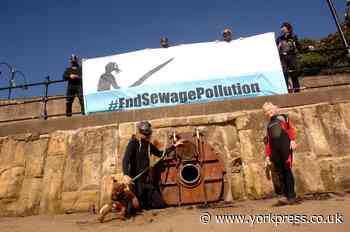 Scarborough sees 96  sewage spills