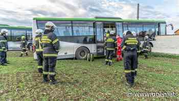 Lenker verletzt - Linienbus kracht in Neunkirchen durch Gartenmauer - NÖN.at