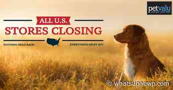 Pet Valu to close all US stores, including nine in Rhode Island - What'sUpNewp