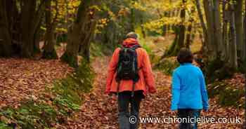 The North East's historic paths which could soon be lost forever