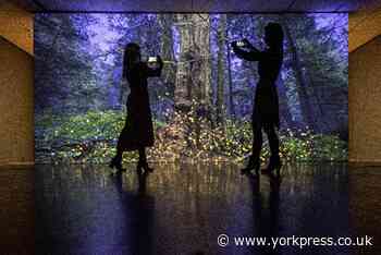 Major Digital Arts Exhibition Human Nature to run until next year