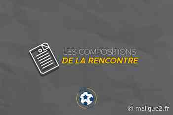 Ligue 2 (10e journée) - Les compositions de Clermont-Guingamp & Grenoble-Le Havre - MaLigue2
