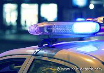 Gunshot wound reported after ShotSpotter alert in Perry South