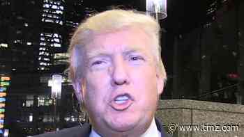 Donald Trump Goes Off, Calling Election Officials 'Thieves'
