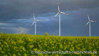 Norweger kriegen Geld, wenn sie Strom verbrauchen