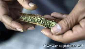 School district fires Marine vet over medical marijuana use - Chicago Tribune