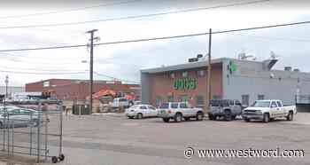 Medical Marijuana Mold Recall Issued at Two Denver-Area Dispensaries | Westword - Westword