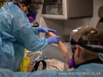 Coronavirus cases surging in nursing homes in worst hit states, study finds