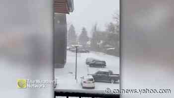 Wintry weather descends on Saskatoon - Yahoo News Canada