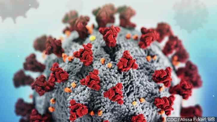 The Latest: Global coronavirus case total tops 50 million
