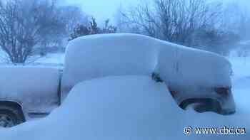 Some Saskatoon stores close early in advance of winter storm