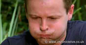 I'm A Celebrity viewers left retching as Dec vomits during trial