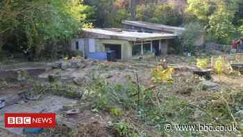 Plans to reopen abandoned Westbury Wildlife Park
