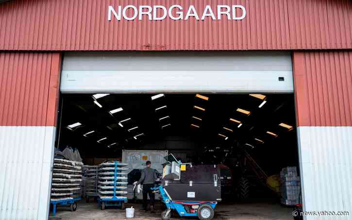 Exclusive: 'Mink virus' alert as hospitals ordered to keep suspected cases in isolation