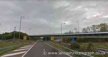 Man found dead under motorway bridge
