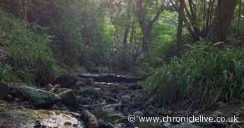 Passionate People, Passionate Places: the seven bridges walk