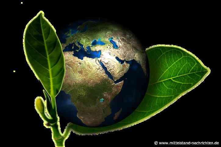 Nachhaltigkeit und Umweltschutz ⇒ Die Prioritäten verlagern sich!