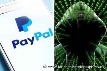 PayPal scam warning: fake emails could cost you thousands