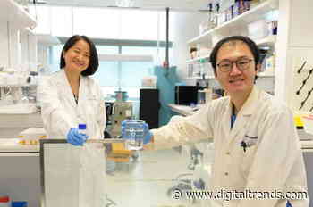 Liquid windows can turn opaque in the heat and save energy