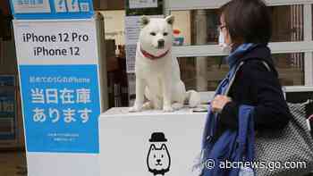 Japan's SoftBank back in the black as investments improve