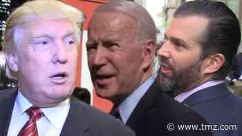Donald Trump Jr. Suggests COVID Vaccine News After Election is 'Nefarious'