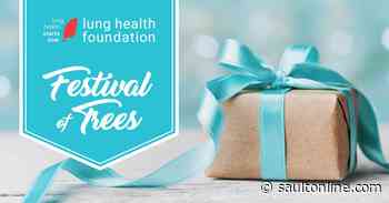 Festival of Trees November 12 to November 20th
