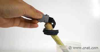 See an elephant-inspired robotic gripper pick up a single grape like a pro     - CNET