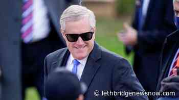 Trump's election night party adds to virus scrutiny - Lethbridge News Now