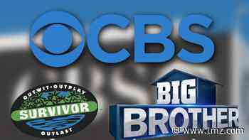 CBS Promises Much More Diversity on 'Survivor' & 'Big Brother'
