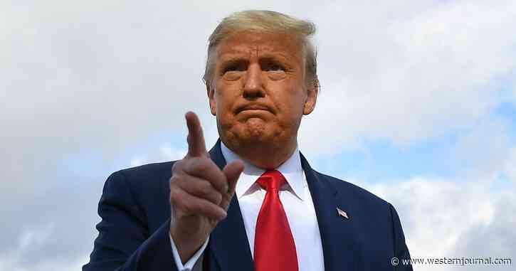 Poll: Without Big Tech Censorship, Trump Could Be Winning with 289 Electoral Votes
