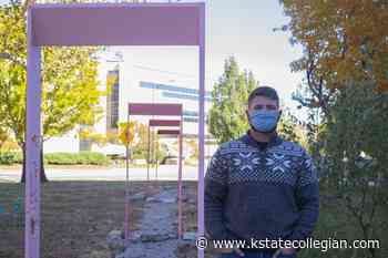 Architecture student's senior project explores intersection of psychology, grief - K-State Collegian