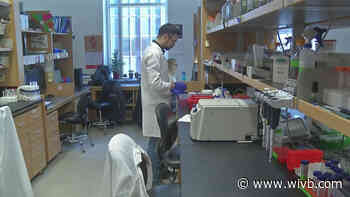 UB study: Krabbe disease treatment should start earlier