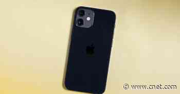 iPhone 12 Mini review: Apple's smallest is a one-handed phone user's dream     - CNET