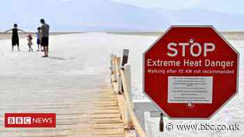 Joe Biden: How the president-elect plans to tackle climate change