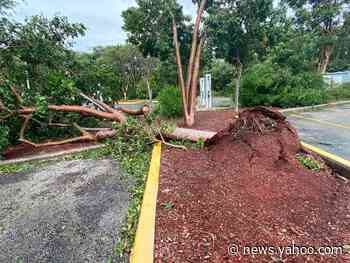Florida Keys escaped the worst of Tropical Storm Eta. But there’s still cleanup to do