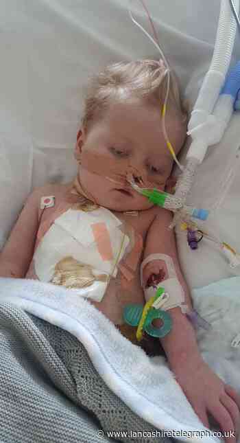 Official Charts number one bid for Blackburn's little fighter, Carson Adams
