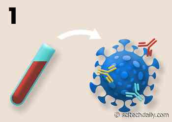 SARS-CoV-2 Could Evolve Resistance, Rendering COVID-19 Vaccines Ineffective