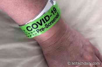 Blood Pressure Medicines Do Not Increase COVID-19 Risk