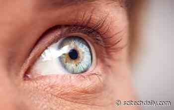 Cornea Can Resist Infection From COVID-19 Coronavirus