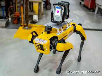 Boston Dynamics' robot dogs might soon have a new owner, as SoftBank reportedly considers a sale