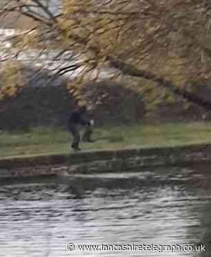 Shocking footage shows men throwing small dogs into Burnley canal