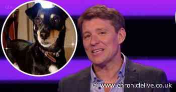 Traumatised Tipping Point fan claims their dog HATES Ben Shephard