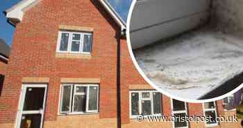 How to stop your house from suffering with mould and damp