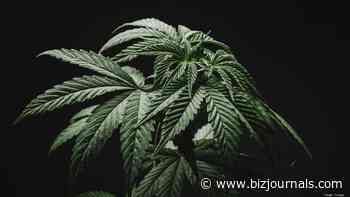 Buyers start to pick up Ohio medical marijuana dispensaries after first year of operation - Columbus Business First