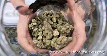 Florida school district fires Marine vet over medical marijuana use - Marine Corps Times